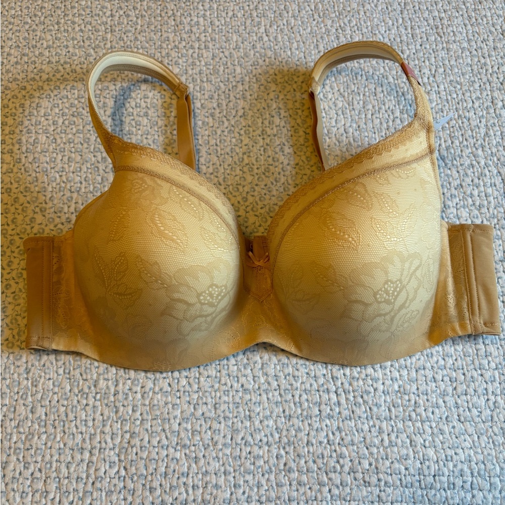 Cacique Floral Lace Bra in Gold